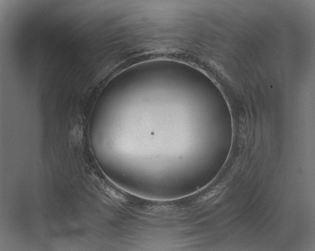 X0000073841257200608170958