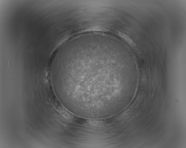 X0000073841258200608170958