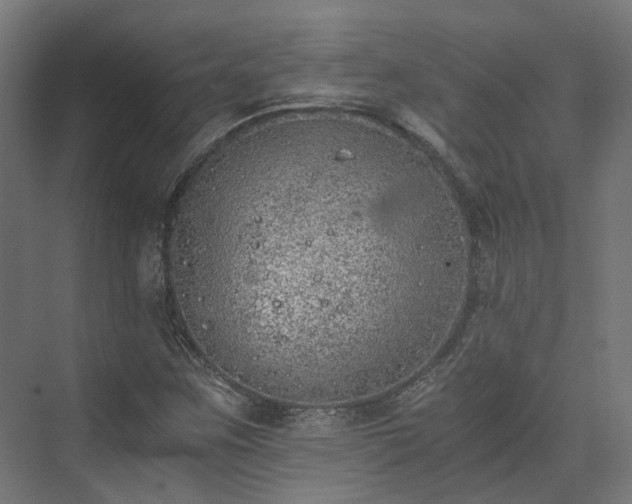 X0000073841259200608170958