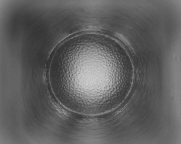 X0000073841260200608170958