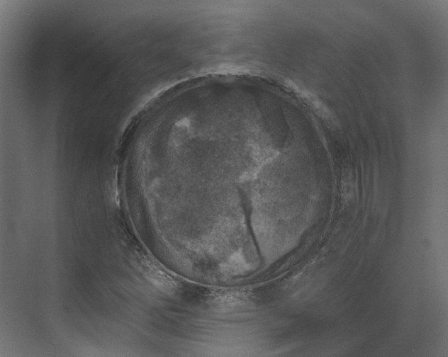 X0000073841262200608170957