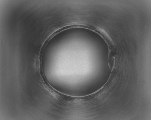 X0000073841268200608170957