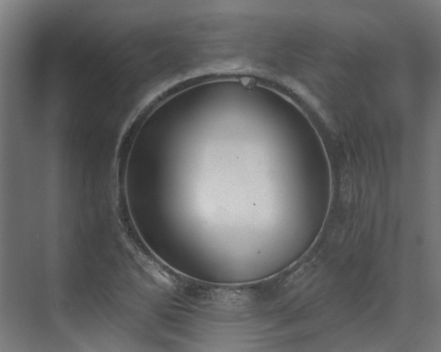 X0000073841270200608170957