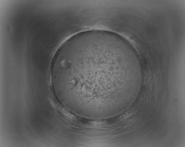 X0000073841271200608170957