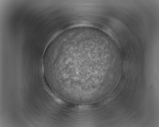 X0000073841274200608170957