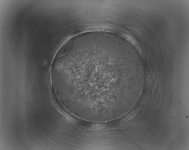 X0000073841275200608170957