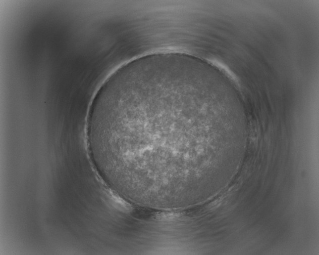 X0000073841278200608170957