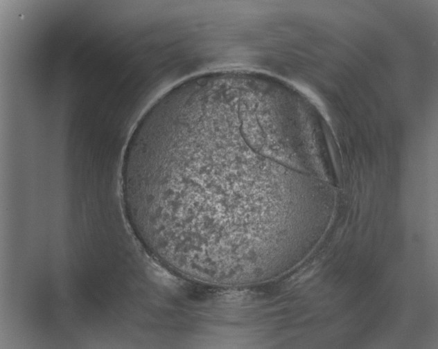 X0000073841279200608170957