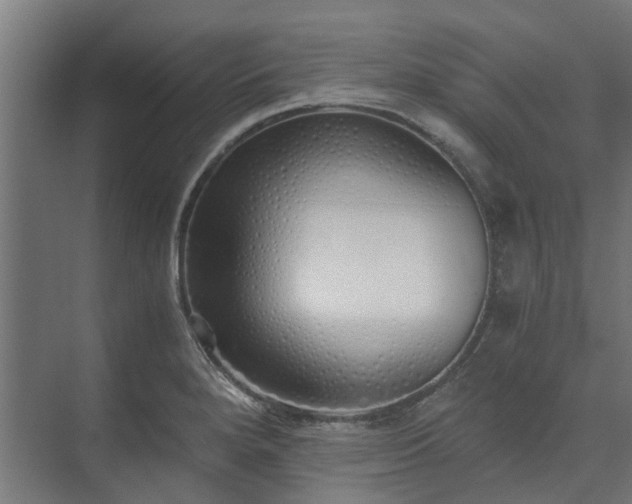 X0000073841280200608170957