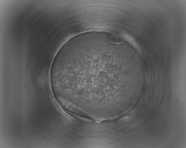 X0000073841283200608170957