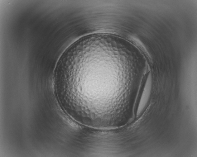 X0000073841284200608170957