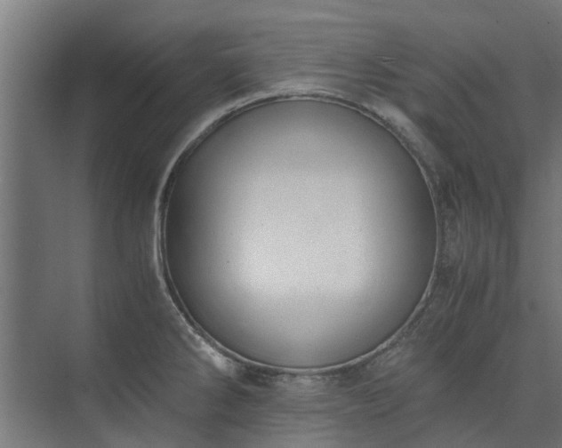 X0000073841286200608170957