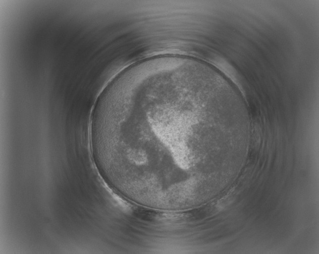 X0000073841290200608170957