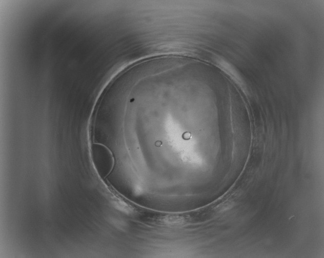 X0000073841291200608170957