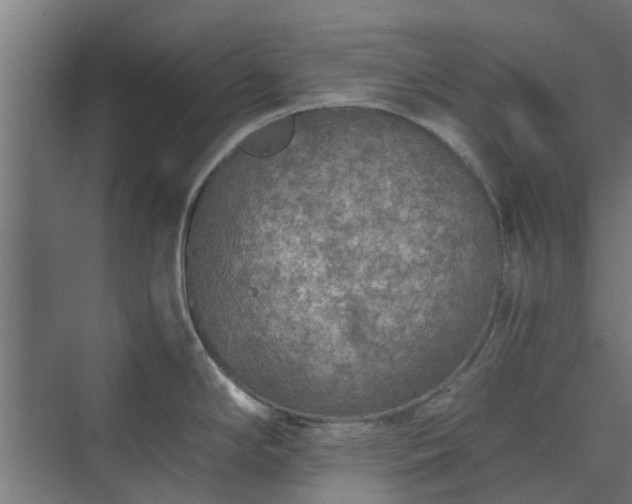 X0000073841294200608170957