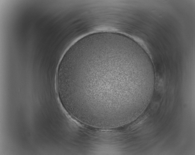 X0000073841295200608170957