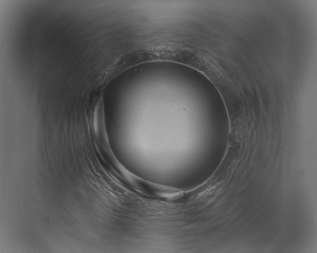 X0000073841298200608170956