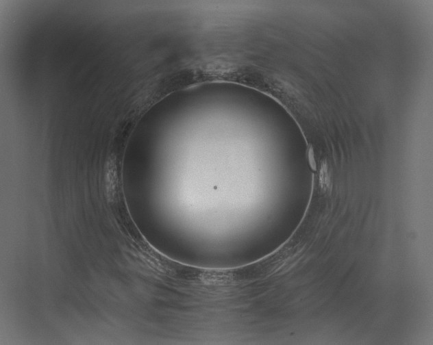 X0000073841299200608170956