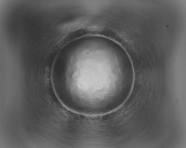 X0000073841301200608170956