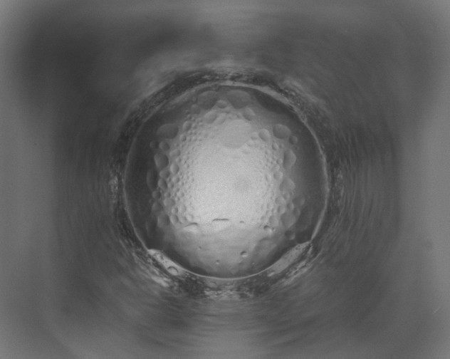 X0000073841302200608170956