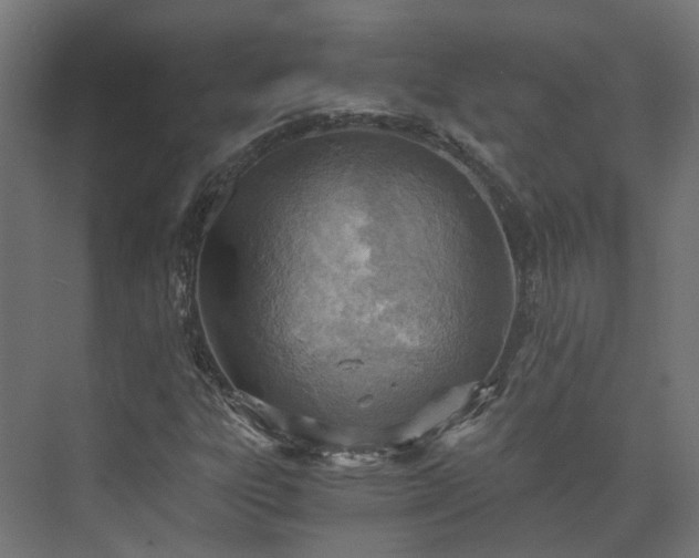 X0000073841303200608170956