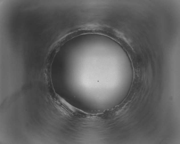 X0000073841304200608170956