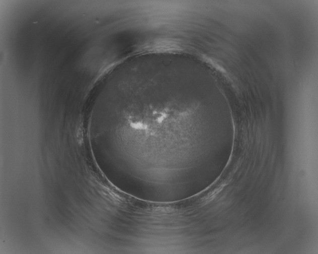 X0000073841306200608170956