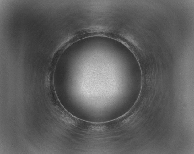 X0000073841309200608170956