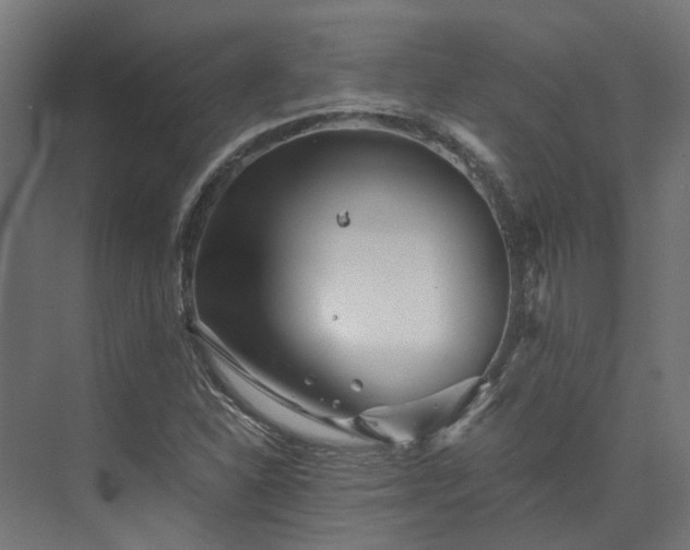 X0000073841310200608170956