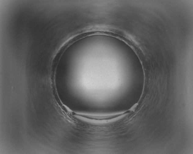 X0000073841312200608170956