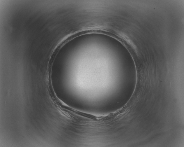 X0000073841316200608170956