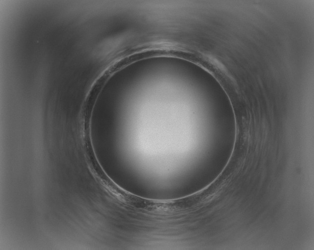 X0000073841318200608170956