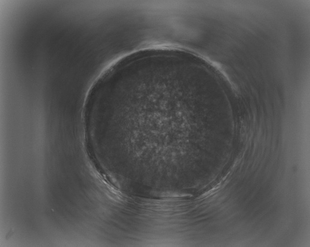 X0000073841319200608170956