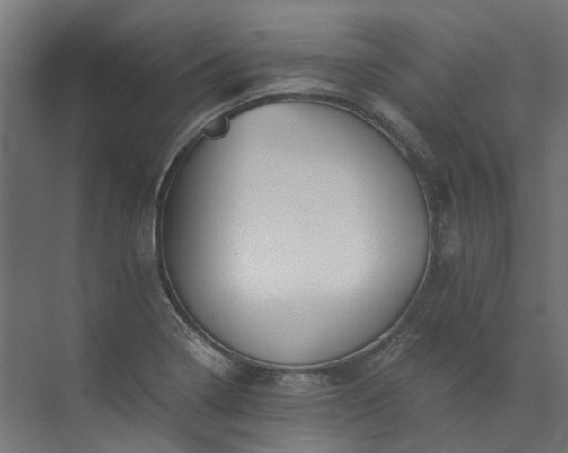 X0000073841322200608170957