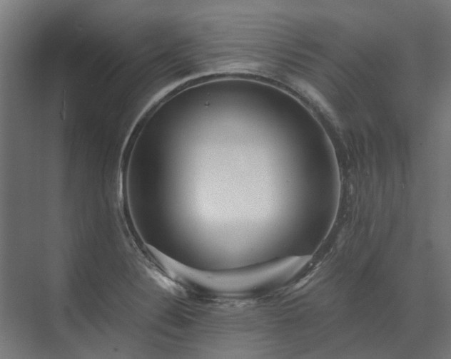 X0000073841324200608170957