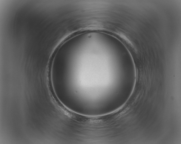 X0000073841325200608170957