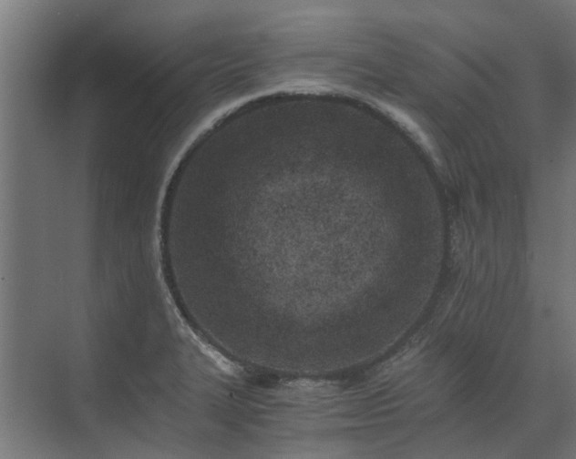 X0000073841327200608170957