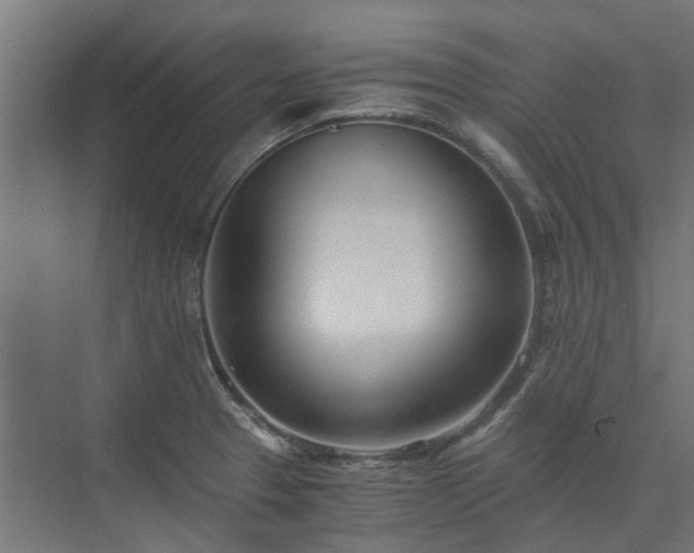 X0000073841329200608170957