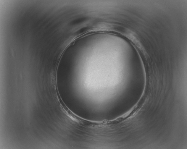 X0000073841337200608170957