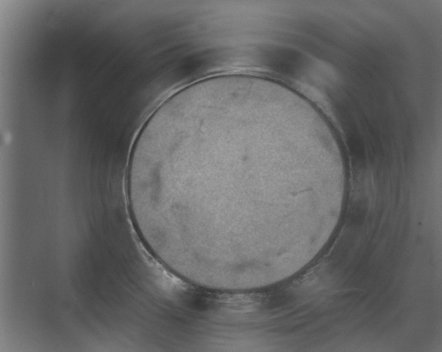 X0000073841338200608170957