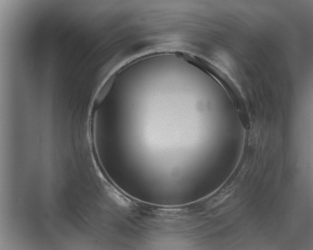 X0000073841342200608170957