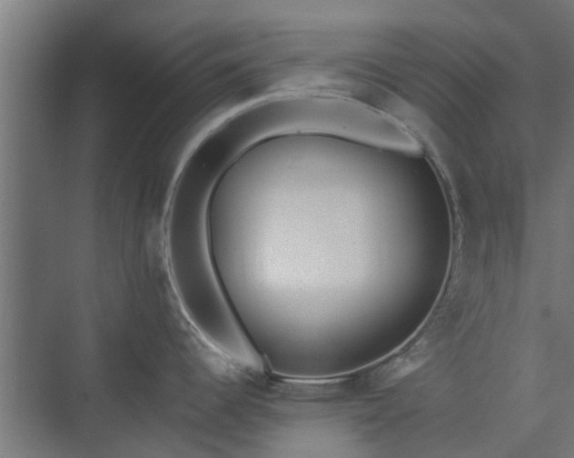 X0000073841344200608170957