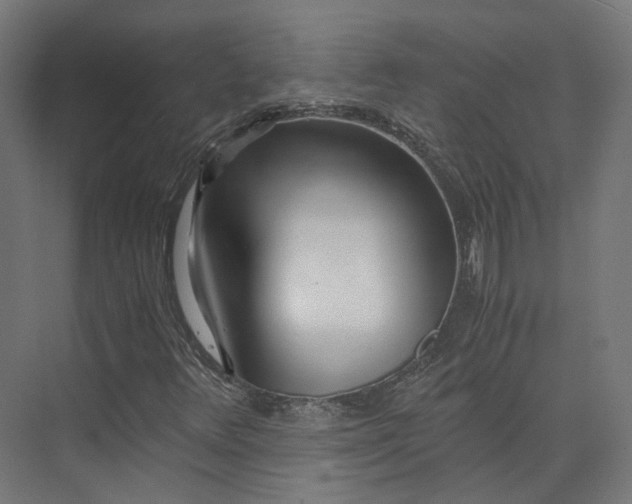 X0000073841348200608170956