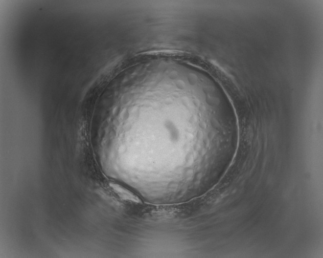 X0000073841351200608170956