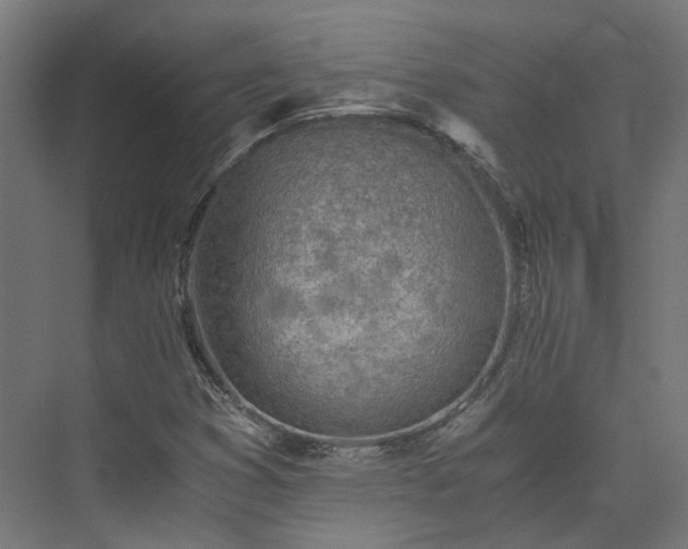 X0000073841353200608170956