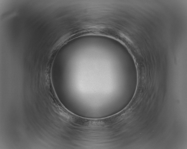 X0000073841354200608170956