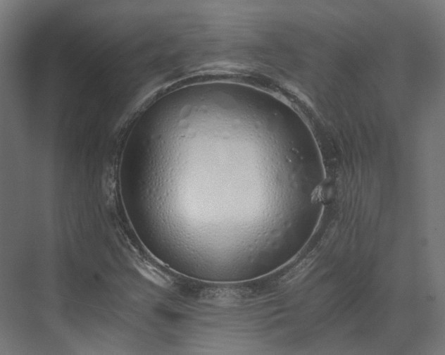 X0000073841355200608170956