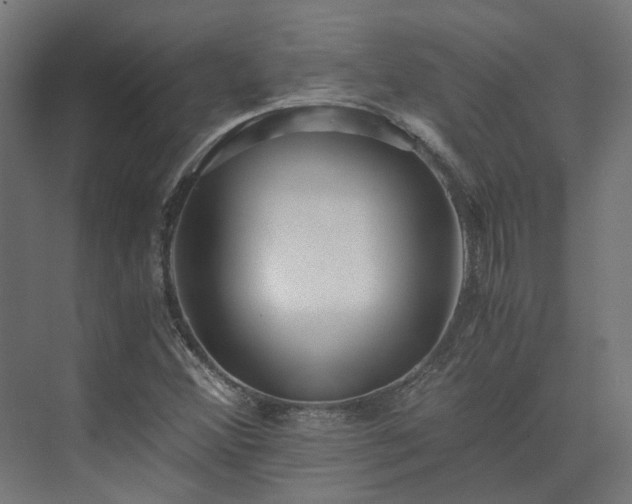 X0000073841356200608170956