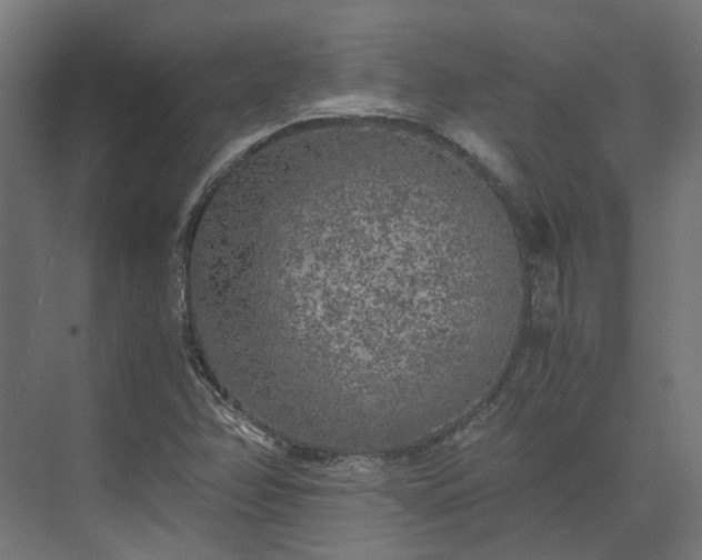 X0000073841358200608170956