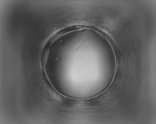 X0000073841359200608170956